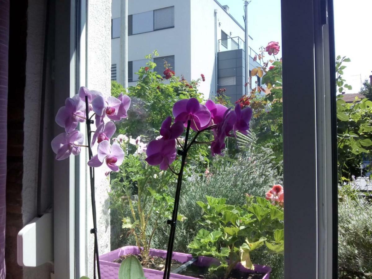 Apartman Teuta Zagreb Exterior photo