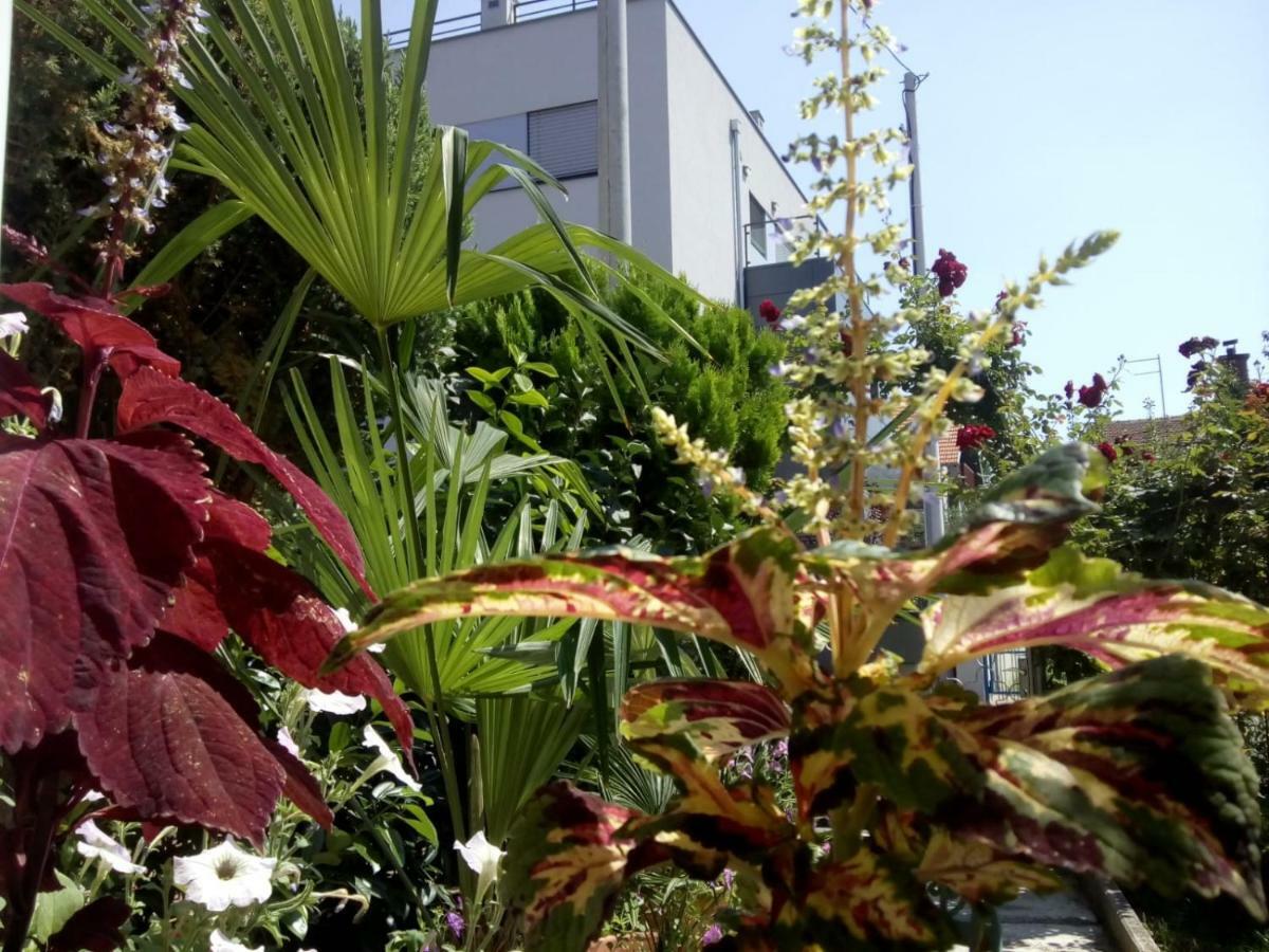 Apartman Teuta Zagreb Exterior photo